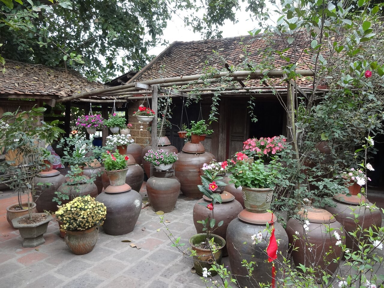 Hanoi Cycling Trip Duong Lam Ancient Village 1 Day